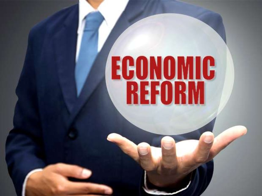 White Paper and Task Force:   Lack of enthusiasm for economic reforms and dissatisfaction with the committee