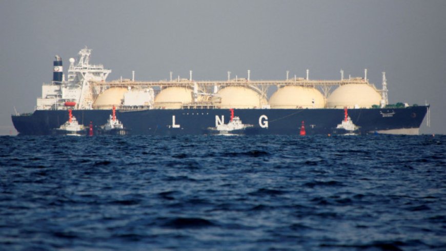 Government to purchase three spot LNG cargoes by mid-April