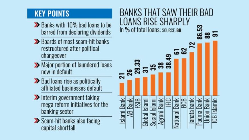 Bad loans at fraud-hit banks rise sharply following political transition