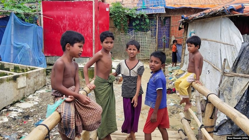 Rohingya armed groups have killed 219 Rohingyas in Bangladesh refugee camps over the past four years