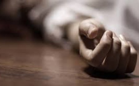 Two brothers fatally attacked in Narsingdi allegedly over extortion