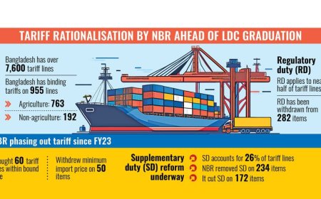 Govt Set to Adjust Tariffs on Nearly 350 Item