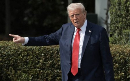 U.S. Considers Imposing Tariffs on Pharmaceuticals, Semiconductors