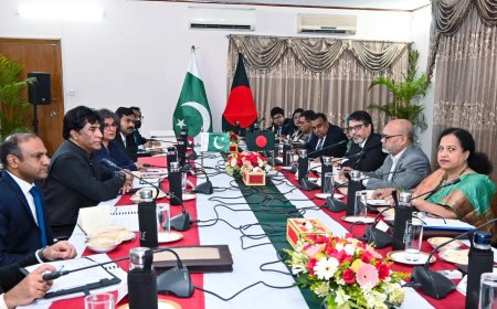 Foreign Affairs Analysts Anticipate Political-Level Follow-Up to Dhaka-Islamabad FOC