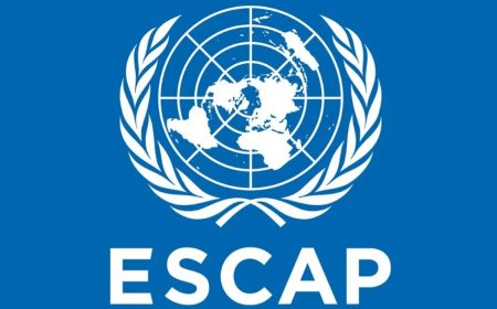 Dhaka Showcases Vision for Sustainable Urban Development at 81st ESCAP Session