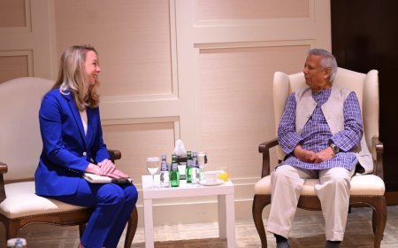 SpaceX Aims for Technical Launch in Bangladesh by May, VP Informs Prof Yunus