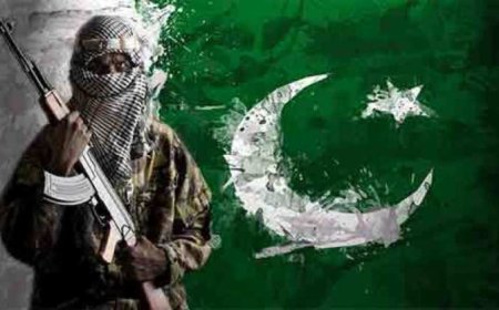 Pakistan’s Role in Global Terrorism: An Overview