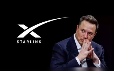 Chief Adviser Approves Starlink License
