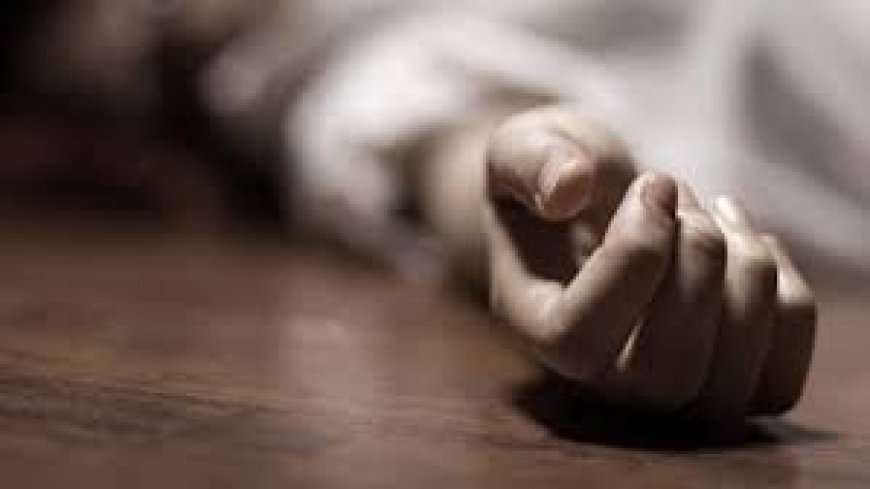 Two brothers fatally attacked in Narsingdi allegedly over extortion