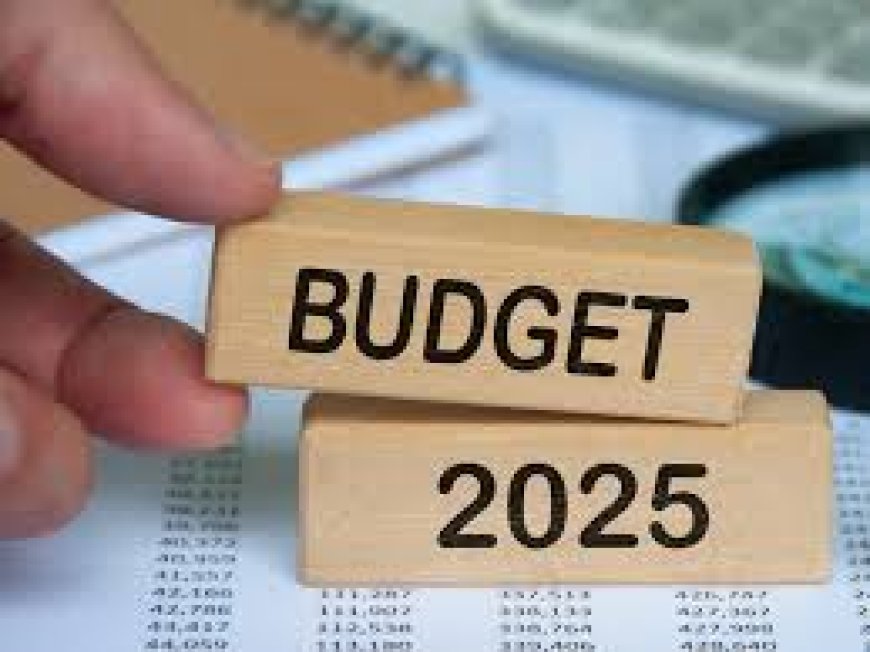 What to anticipate from the FY26 budget and its presentation format?