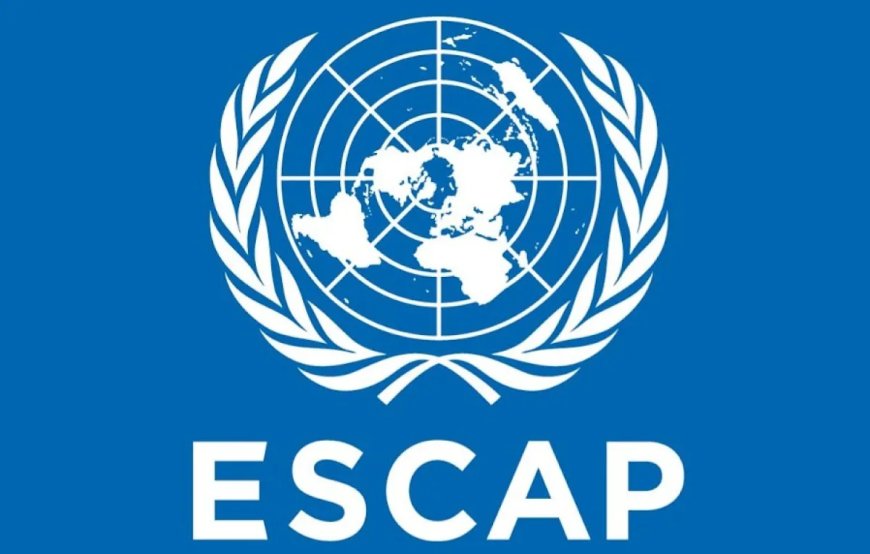 Dhaka Showcases Vision for Sustainable Urban Development at 81st ESCAP Session