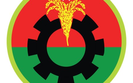 Why Is BNP Silent on the Killing of Its Own Activists?