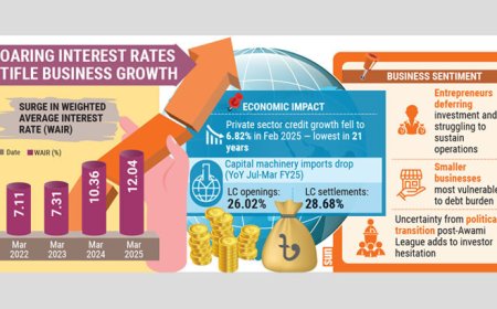Business Confidence Shaken as Interest Rates Rise, Investment Stalls