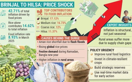 Food Prices Still Lead Inflation Despite Recent Easing
