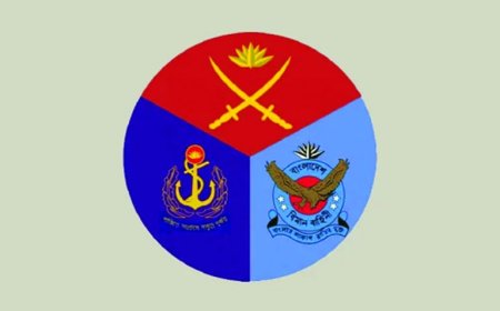 Army Calls for Restraint and Rule Adherence After Dismissed Ex-Soldiers' Protest