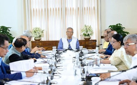 CA orders establishment of fund to manage recovered looted assets