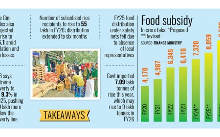 Government Proposes 31% Increase in Food Subsidy for FY26 Budget