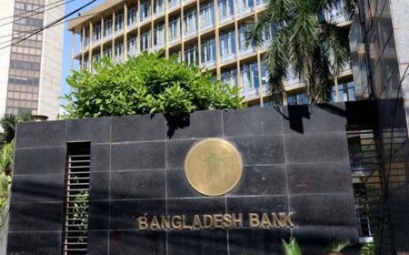 Farm Credit Recovery Up by 8% in First Nine Months