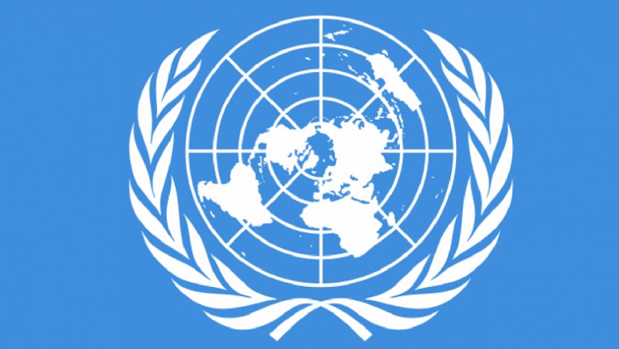 UN Delegation Plans Visit to Dhaka