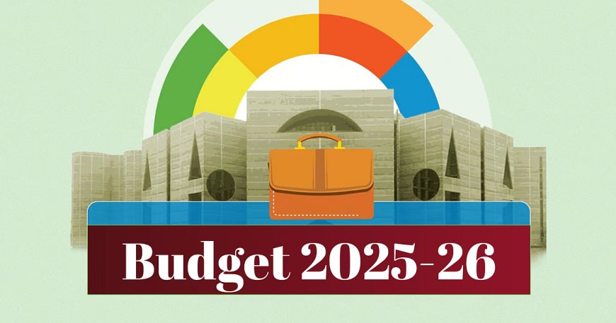 National Budget 2025-26: Business Slump and Sluggish Investment Persist