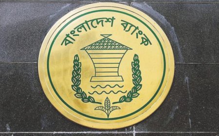 BB plans to consolidate five Islamic banks into a single entity