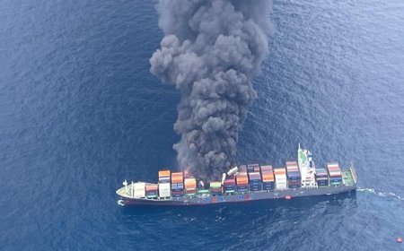 Indian Navy rescues 18 crew members from Singaporean vessel MV Wan Hai 503 after onboard fire