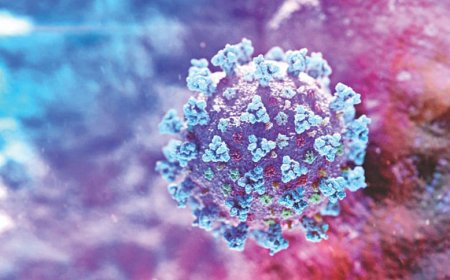 Government to broaden Covid-19 testing infrastructure