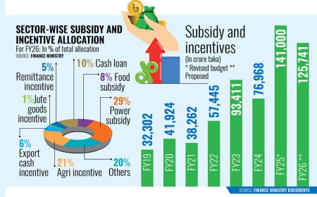 Subsidy Burden Rises Amid Sluggish Revenue