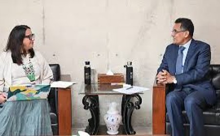 UN delegation says challenges persist despite Bangladesh signing UN convention on enforced disappearances