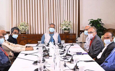 CA orders formation of committee to investigate involvement in organizing controversial elections