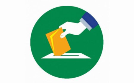 The government has formed a committee to investigate the last three national elections