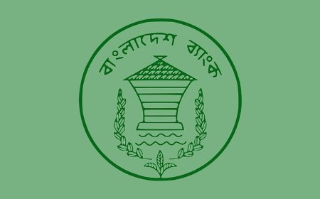 Bangladesh Bank injects Tk 52,500 crore to support struggling banks