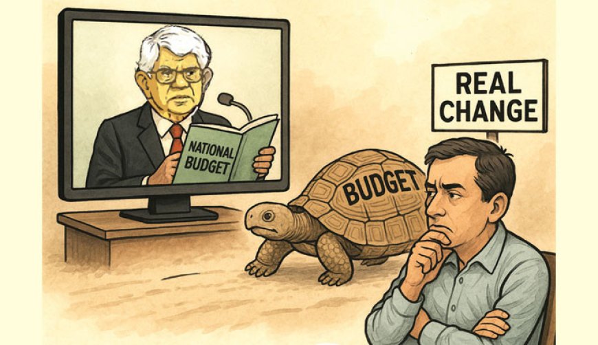 Cautious Budget Fails to Seize Opportunity for Bold Reform