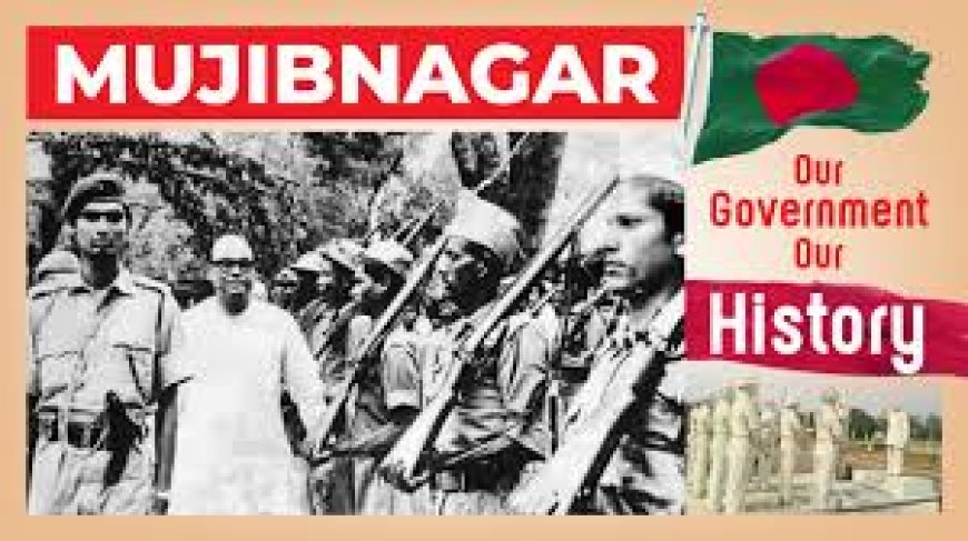 "Members of the Mujibnagar Government, including Bangabandhu and Tajuddin, are recognized as 'valiant freedom fighters', while others are referred to as 'associates'"