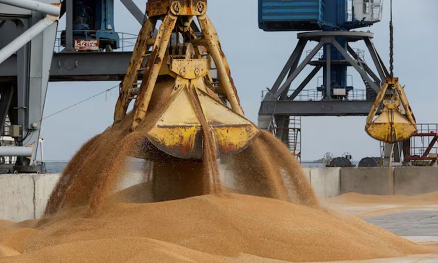 "Ukraine to urge EU to impose sanctions on Bangladeshi companies over imports of wheat allegedly stolen by Russia"