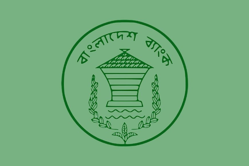Bangladesh Bank injects Tk 52,500 crore to support struggling banks