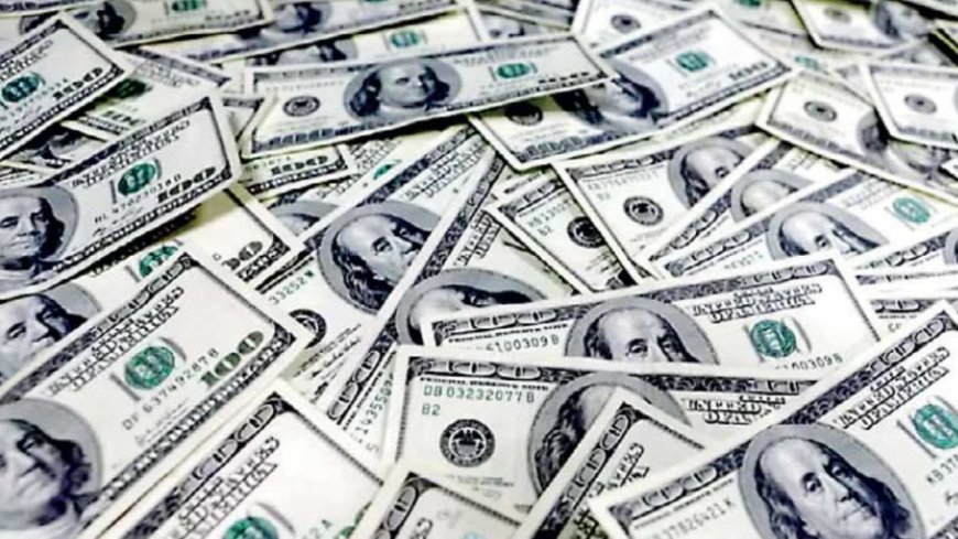 Foreign exchange reserves climb to $31.31 billion