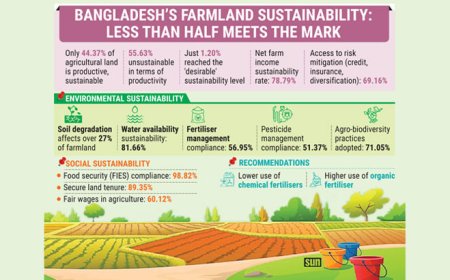 More than half of all farmland falls short of sustainability standards