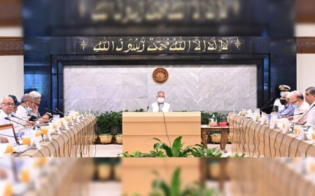 Council of Advisers clears 2 ordinances, 3 proposals