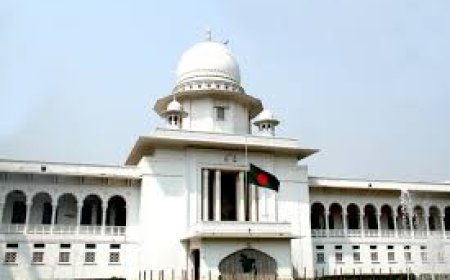 High Court issues rule on recognising Abu Sayed and Mugda martyrs as national heroes