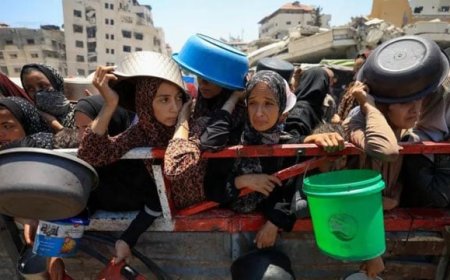 Over 100 NGOs warn that 'mass starvation' is rapidly spreading throughout Gaza