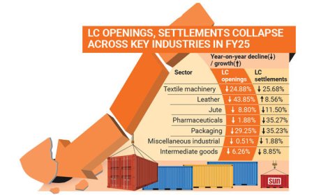 Industrial imports, credit decline amid prolonged dollar shortage