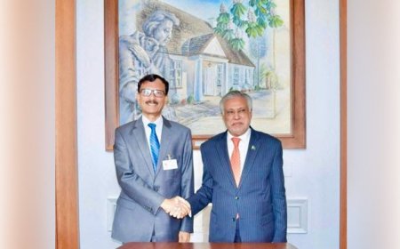 Dhaka and Islamabad voice concern over the ongoing crisis in Palestine