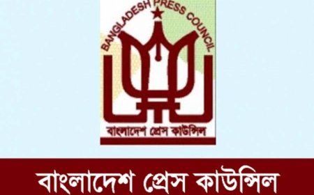 Government forms new committee for Press Council