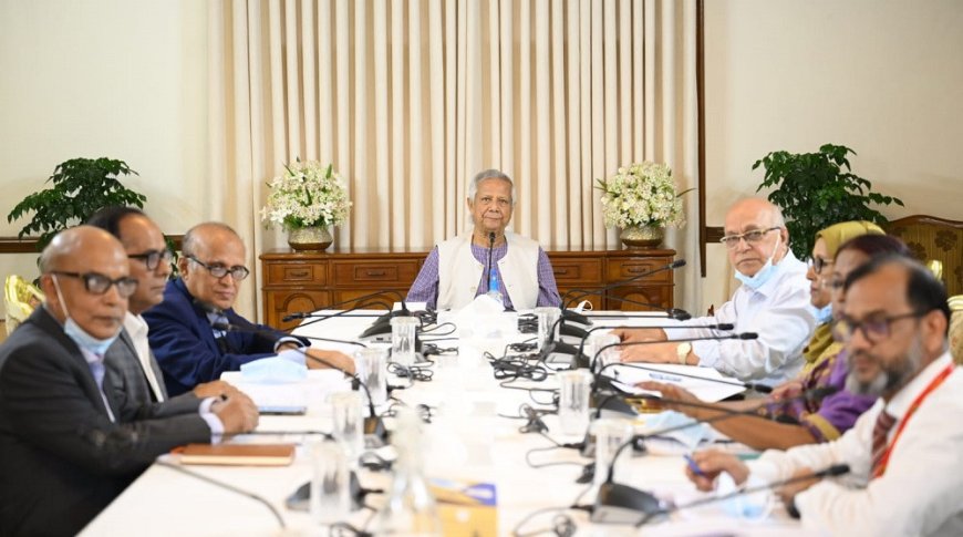 Caretaker adviser calls for authentic history of Liberation War