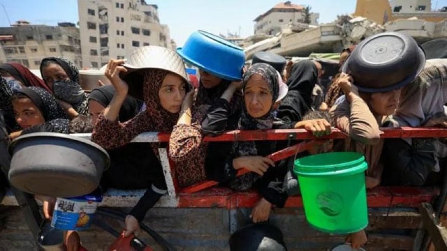 Over 100 NGOs warn that 'mass starvation' is rapidly spreading throughout Gaza