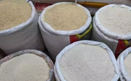 Rice shortage unlikely this year as supply remains stable and stock levels strong
