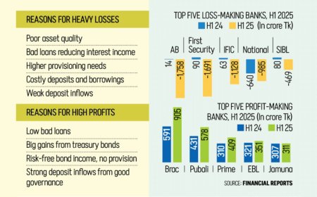 Six banks report strong performance, while five post record losses
