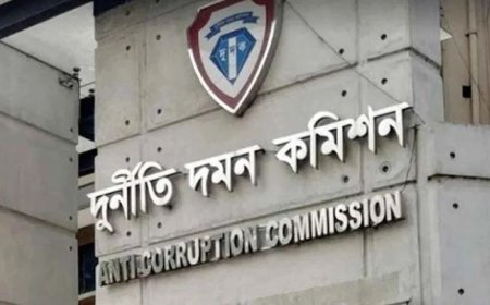 The ACC has sought wealth statements from 17 officials of the NBR