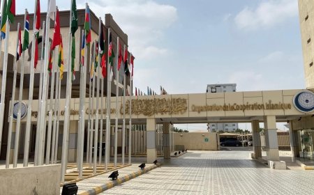 OIC reiterates demand for accountability over Rohingya atrocities